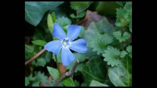 Las Ketchup - Un de vez en cuando