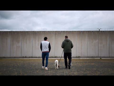 La cárcel de Pamplona culmina un proyecto piloto de intervención asistida con perros 