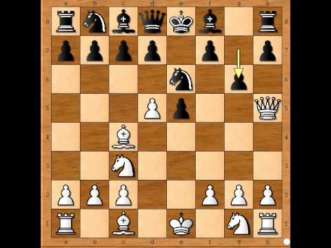 Napad na Kralja svim figurama - BOOK vs HiiDENHEIMO - Becka partija# 351