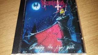 The Warlock - Necromantia