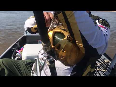 PENN INTERNATIONAL 130 VIS