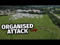 When Farmers Have Had Enough Of Travellers On Their Land