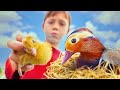 The Hardest Ducklings To Keep Alive