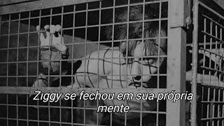 Bauhaus - Ziggy Stardust - Legendado / Tradução