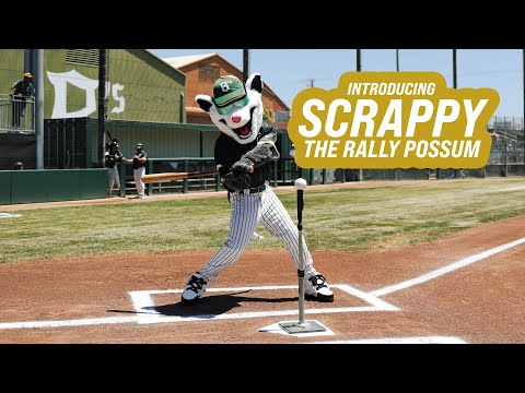 Introducing our mascot, Scrappy the Rally Possum