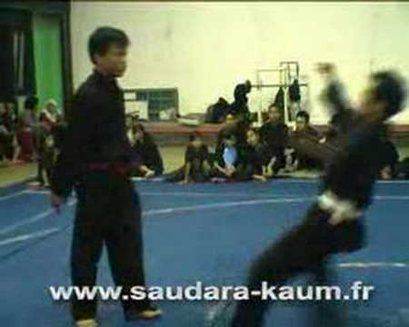 Trailer from the DVD Learn the Pencak Silat Ciung Wanara
