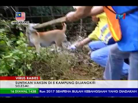 Yang meningkatkan penis Palu perunggu membeli Thor