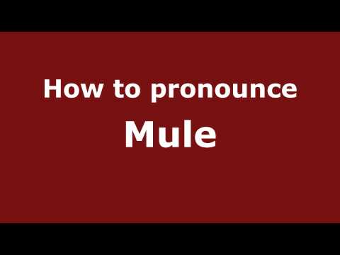How to pronounce Mule