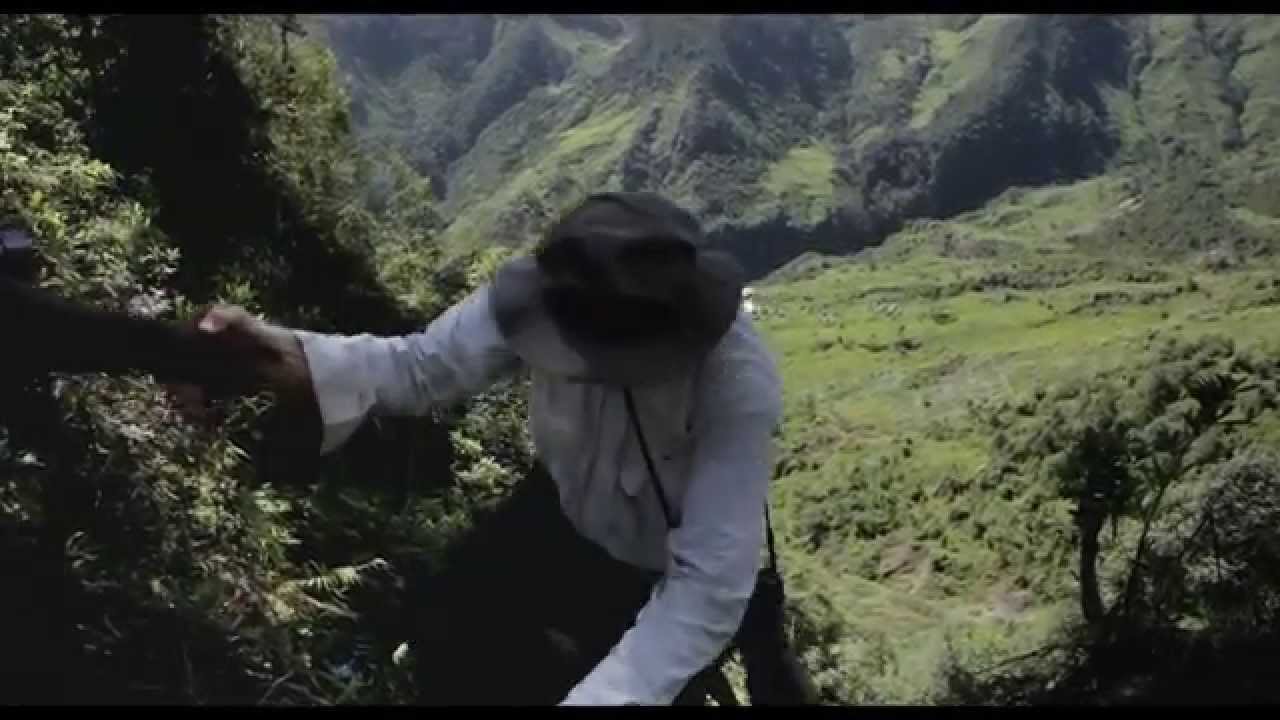 LE SEL DE LA TERRE - Bande Annonce VF