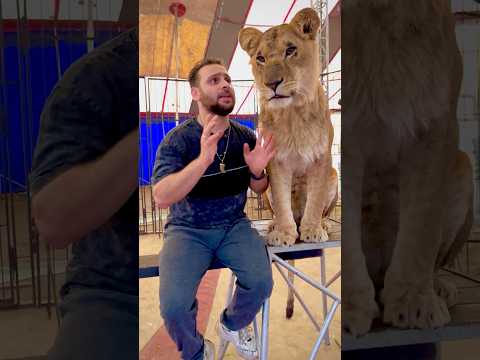 عايزة العب معاكم🥹😭