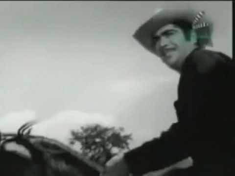 E-l L-á-t-1-g-o N-e-g-r-0 - 3