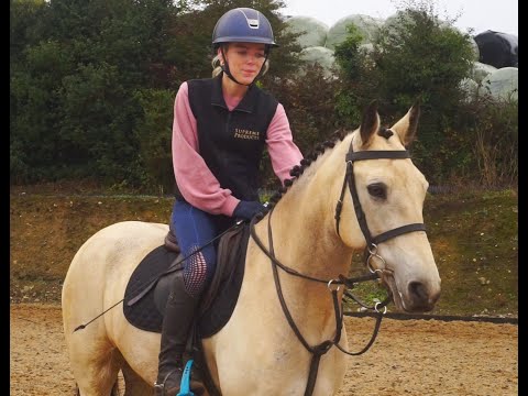 🌟 Want to sell your horse? 🌟 - Image 2