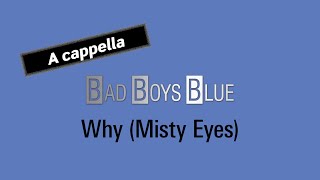 BAD BOYS BLUE Why (Misty Eyes)
