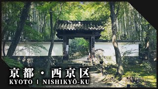 京都西京区の夏の日差しに照らされ緑に輝く神社仏閣3選 l Kyoto Nishikyo-ku in summer【Kyoto Nishikyo ku】