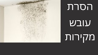 איך להסיר עובש מהקיר/תקרה?