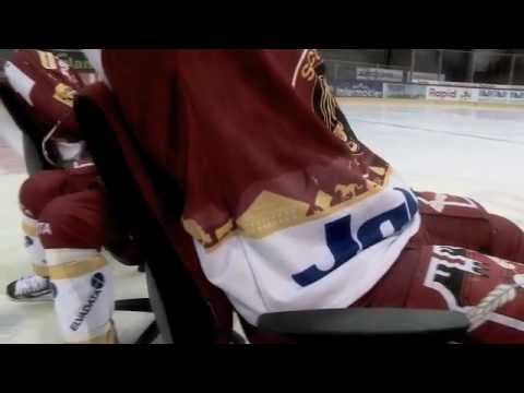 SCL Tigers Langnau setzen auf ergonomische Bürostühle von TERGON