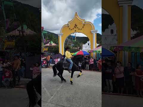 Ejemplares y Jinetes en el desfile Hípico de Feria y Fiesta Titular en Honor a Santísima Virgen