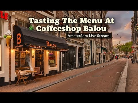 🔴LIVE Amsterdam | Tasting The Menu @Coffeeshop Balou | DRINKING COFFEE | Surely Nothing Else | IRL