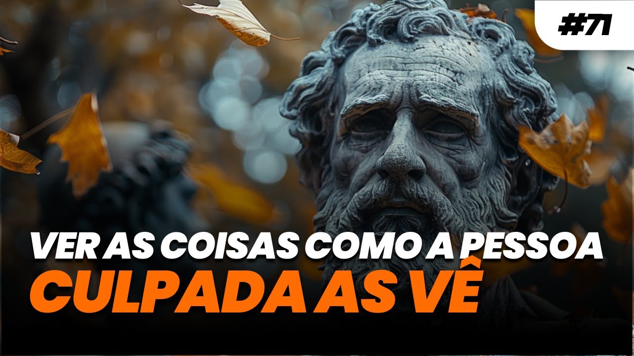 DIÁRIO ESTOICO #071 VER AS COISAS COMO A PESSOA CULPADA AS VÊ | Estoicismo