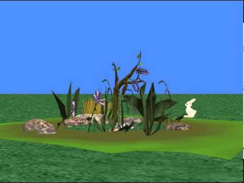 Conejito se cae a un pozo Rebeca