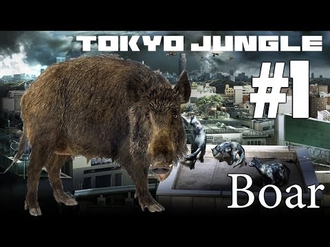 Tokyo Jungle - Boar Survival Part 1 of 3