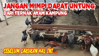 Download lagu KALAU MAU SUKSES TERNAK AYAM KAMPUNG HARUS MULAI DARI MANA⁉️ mp3