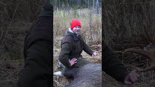 Elchjagd in schwedisch Lappland 🇸🇪 mit  ⁨@hunterbrothersofficial⁩