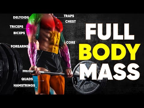 Top 6 Compound Exercises for Total Body MASS