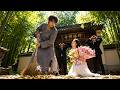 Everyone Laughed At Beggar But The Beautiful CEO Proposed To Him He Was Actually The Dragon King