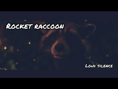 Rocket Raccoon: I didn’t ask to get made.