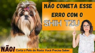 Descubra A Verdade Sobre Corta Os Pelos Do Rosto Do Shih Tzu Você Precisa Saber?