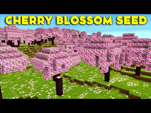EPIC 1.20 MINECRAFT SEED: UNBELIEVABLE CHERRY BLOSSOM!