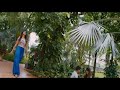 Kadhal Aasai Yaarai Vittadho Whatsapp Status Song Anjaan Tamil Movie Surya Samantha