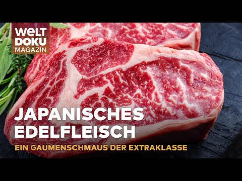 DAS ULTIMATIVE WAGYU-ERLEBNISS: Weltbestes Fleisch und Luxus Genuss aus Schleswig-Holstein | Magazin