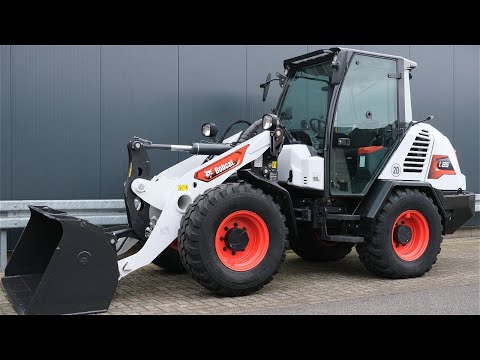 Bobcat video miniatura