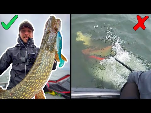 TOBIAS LOSES HIS BIGGEST PIKE THIS YEAR - Fishing Big Fish in Huge Bodies of Water | Team Galant