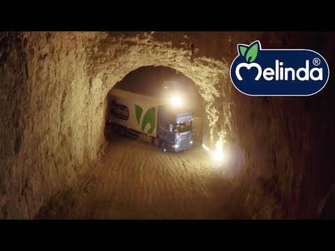 Celle Ipogee Melinda