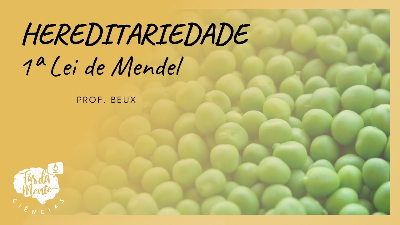 HEREDITARIEDADE - 1ª LEI DE MENDEL