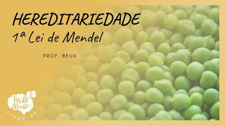HEREDITARIEDADE - 1ª LEI DE MENDEL