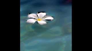 La sua figura - Giuni Russo