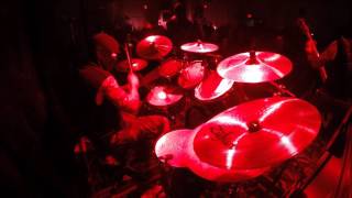 kerasphorus swarm intelligensia