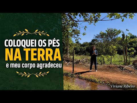 A terra cura