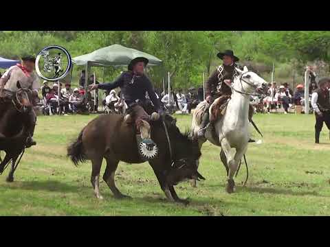 San Cristobal 2026 - Concurso Categ. Basto - 59º  Fiesta Nacional del Caballo - Octubre del 2026