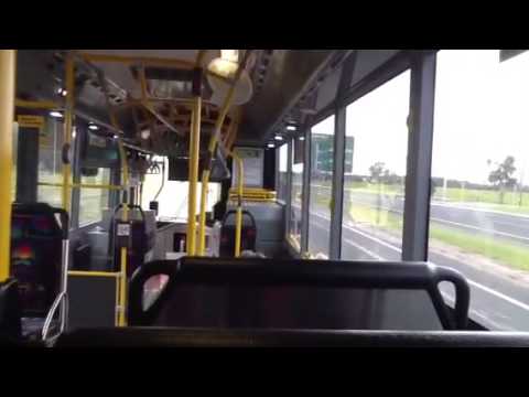 Transperth TP2245 Volvo B5RLEH Hybrid Midi (I-Shift)