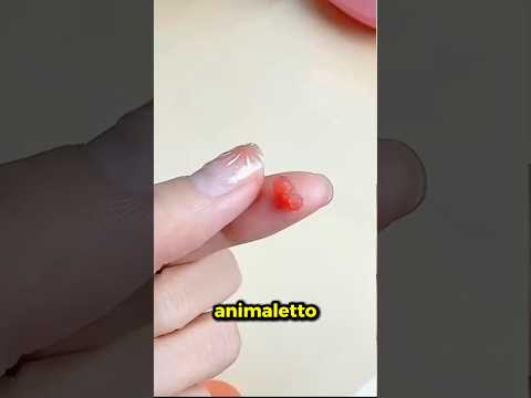 Questo animale sembra una caramella GOMMOSA!🤯