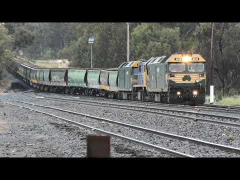 G523-X50-G539 arrive at a very damp and dreary Dunolly Sub.  30-09-21.