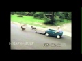 AFV Part 108 NEW America S Funniest Home Videos 2012 Funny Videos Montage Compilation