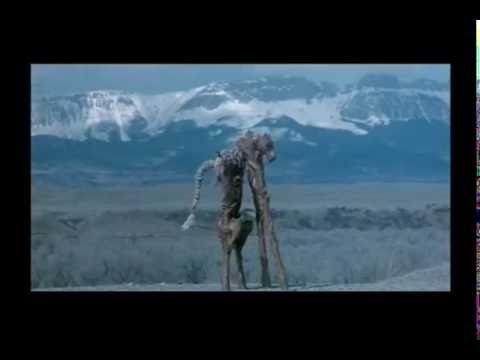 Northfork (2003) Trailer