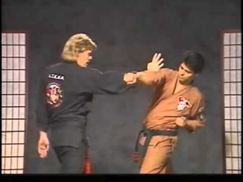 KENPO 01-PROTECTING FANS(G.Master Larry Tatum)
