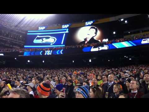 Seahawks Introduction in Super Bowl 48